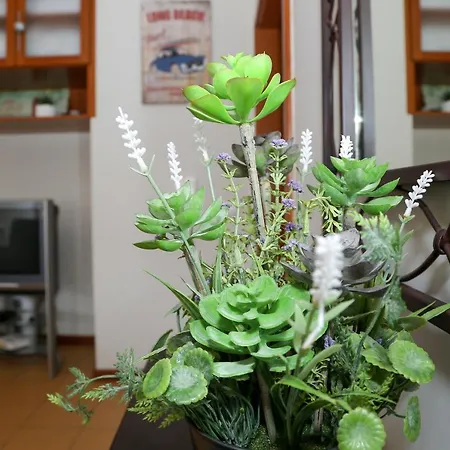 Apartment Casa Mares *