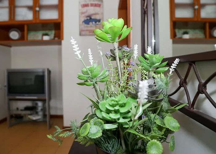 Apartmán Casa Mares *